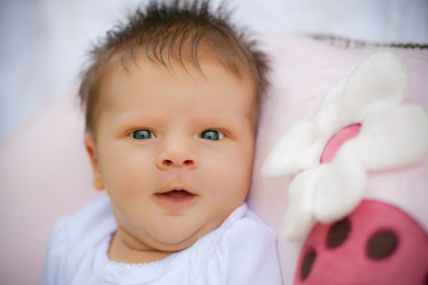 Minneapolis St. Paul Minnesota Newborn Photography | Live and Love Studios