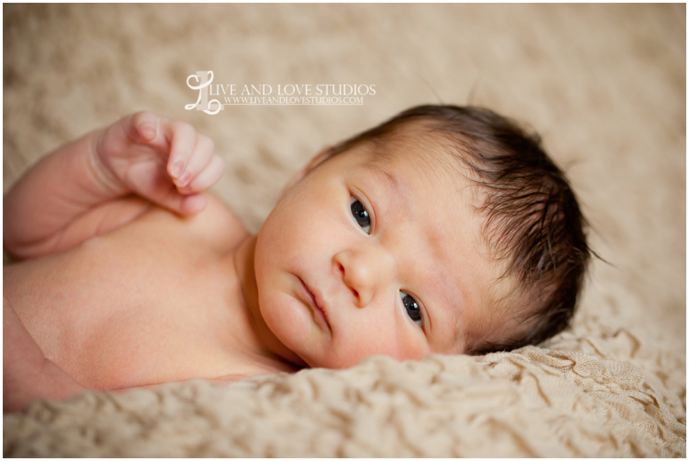 Minneapolis St. Paul Minnesota Newborn Photography | Live and Love Studios