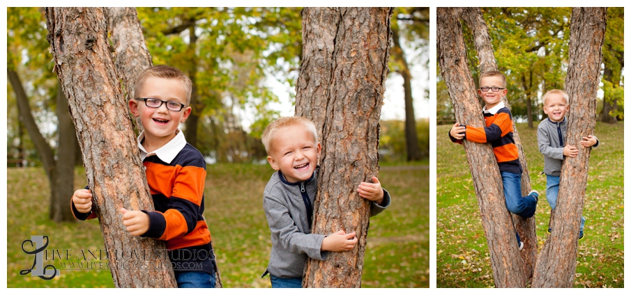 04-French-Park-Minneapolis-MN-family-brothers-Photography-in-a-tree