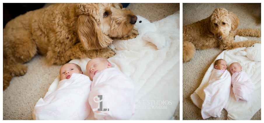 15-minneapolis-st-paul-newborn-lifestyle-photographer-with-dog