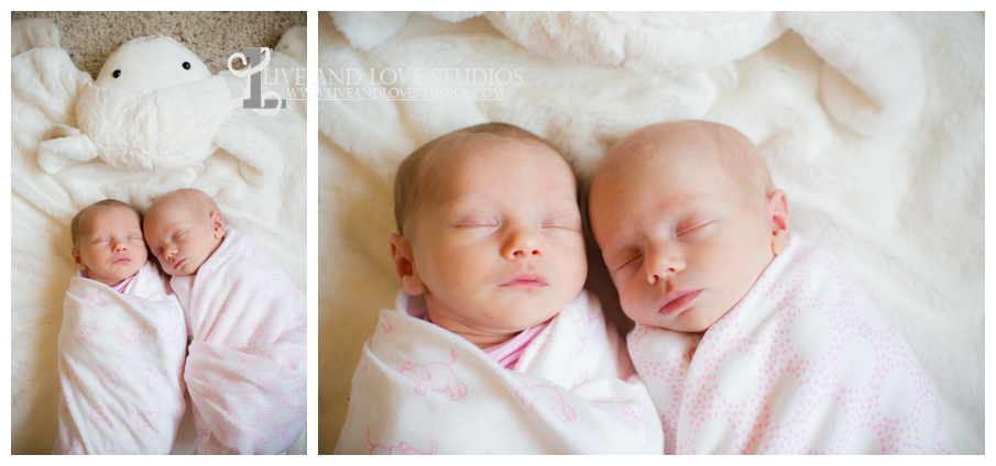 16-minneapolis-st-paul-newborn-lifestyle-photographer-twin-girls