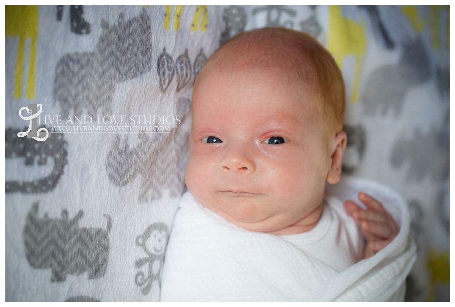 Minneapolis-Eagan-MN-Lifestyle-Newborn-Photography_0011.jpg