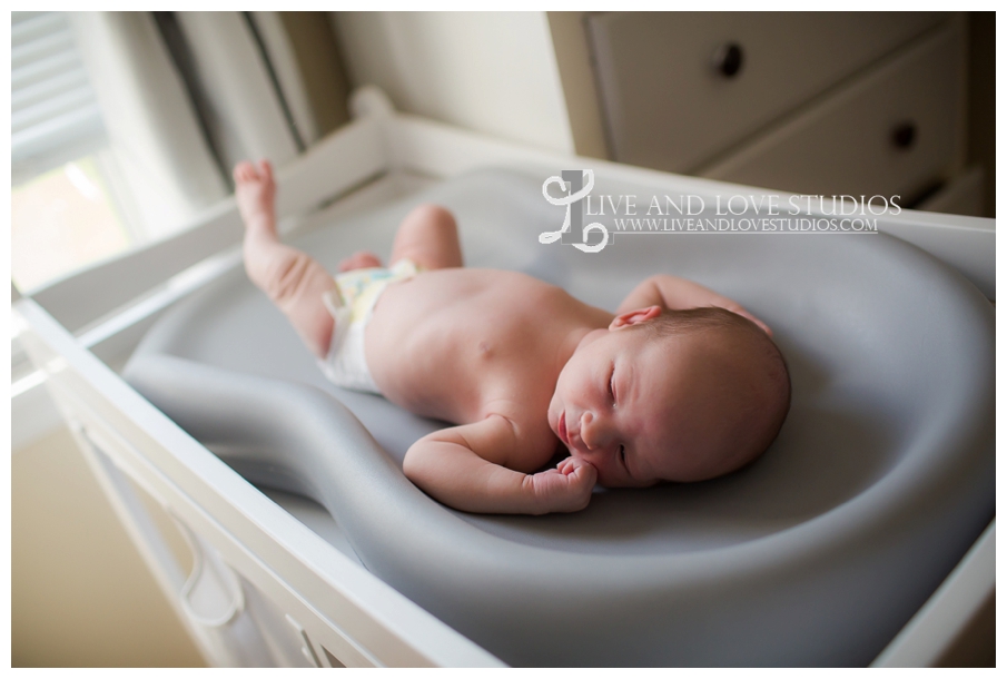 Minneapolis-St-Paul-MN-Family-Newborn-Lifestyle-Photographer_0004.jpg