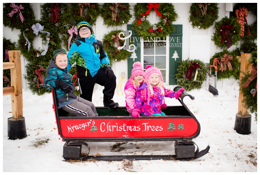 St-Paul-Minneapolis-Lake-Elmo-MN-Family-Winter-Tree-Farm-Photography_0009.jpg