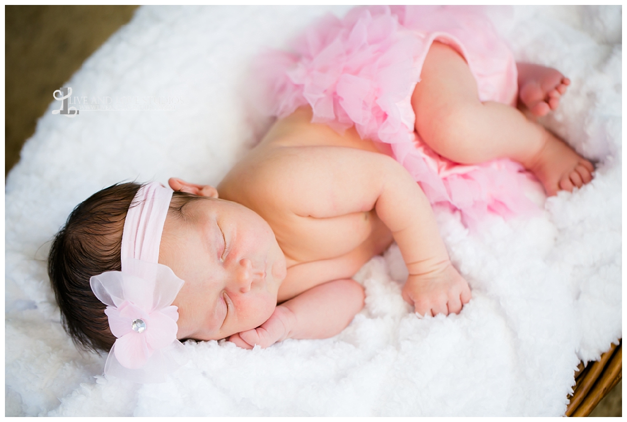 shakopee-mn-studio-family-newborn-photography_0053.jpg