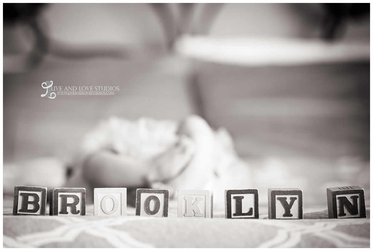 shakopee-mn-studio-family-newborn-photography_0056.jpg