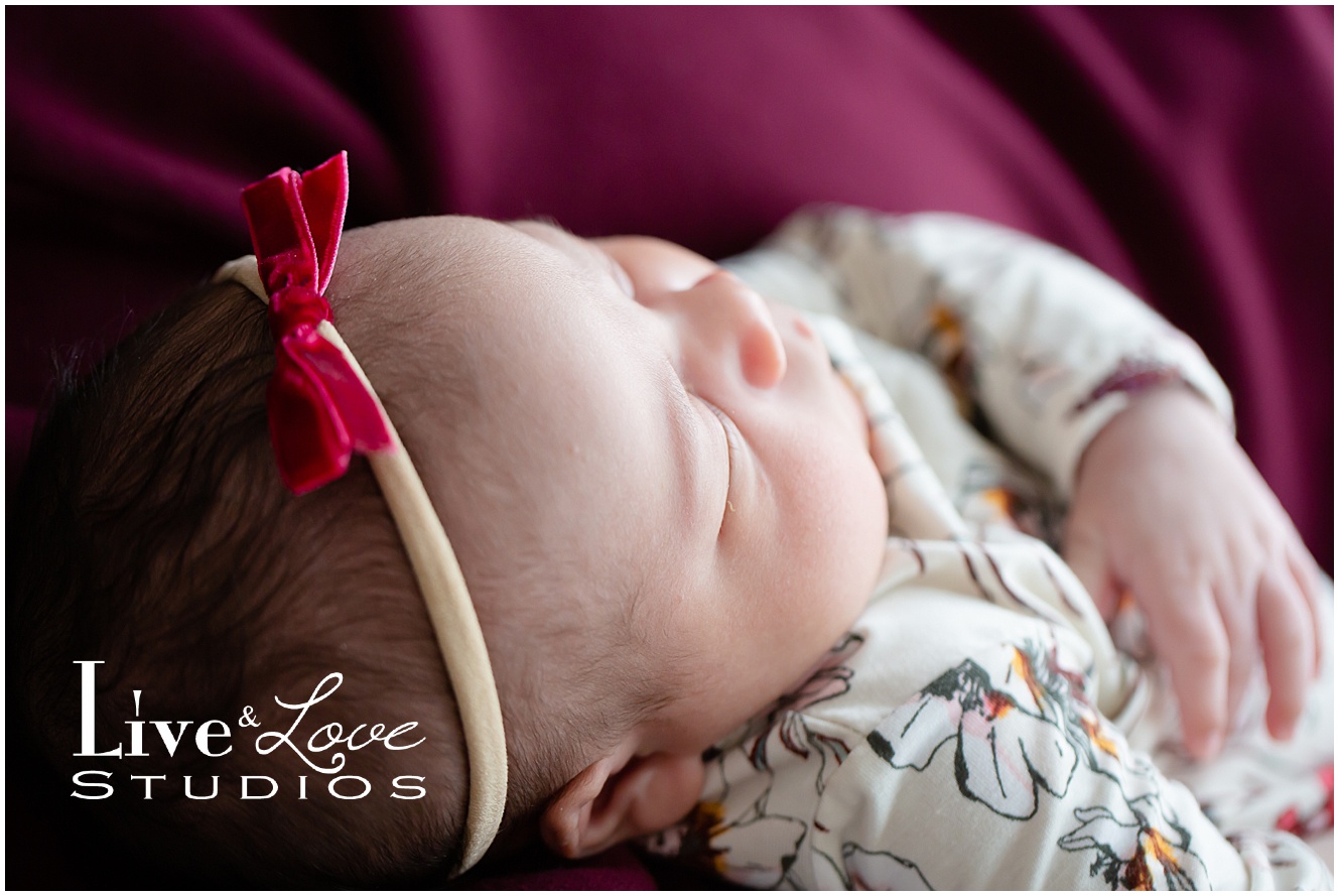 eagan-mn-family-newborn-lifestyle-photography_0507.jpg