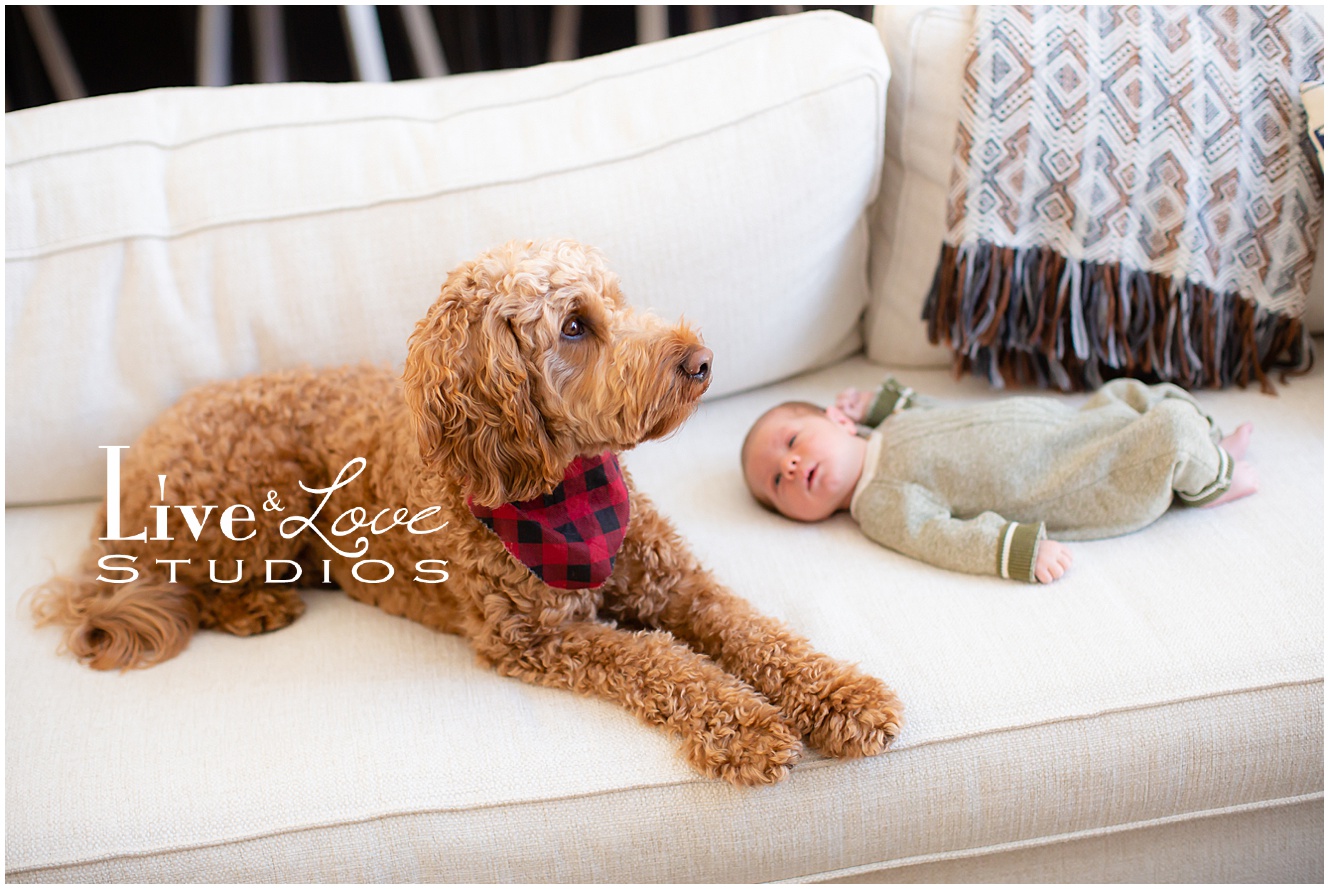 eagan-mn-family-newborn-lifestyle-photographer_0951.jpg