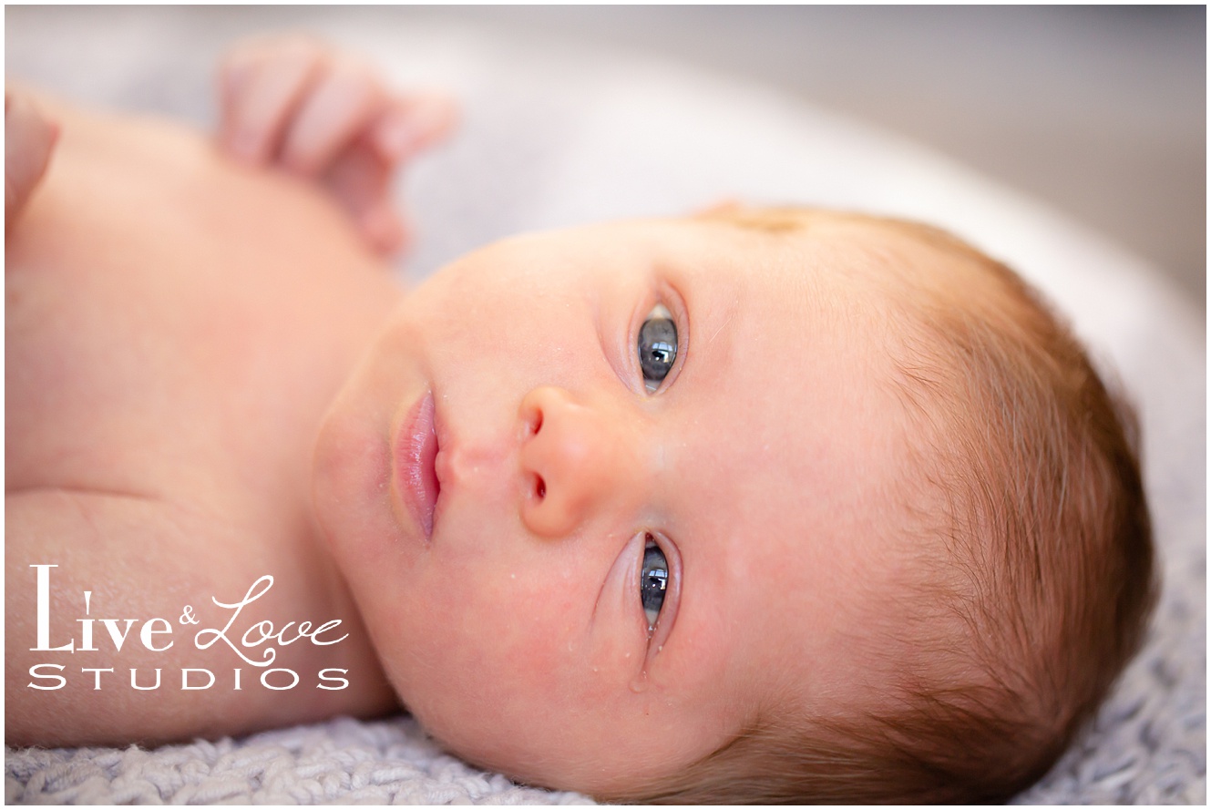 eagan-mn-family-newborn-lifestyle-photographer_0954.jpg