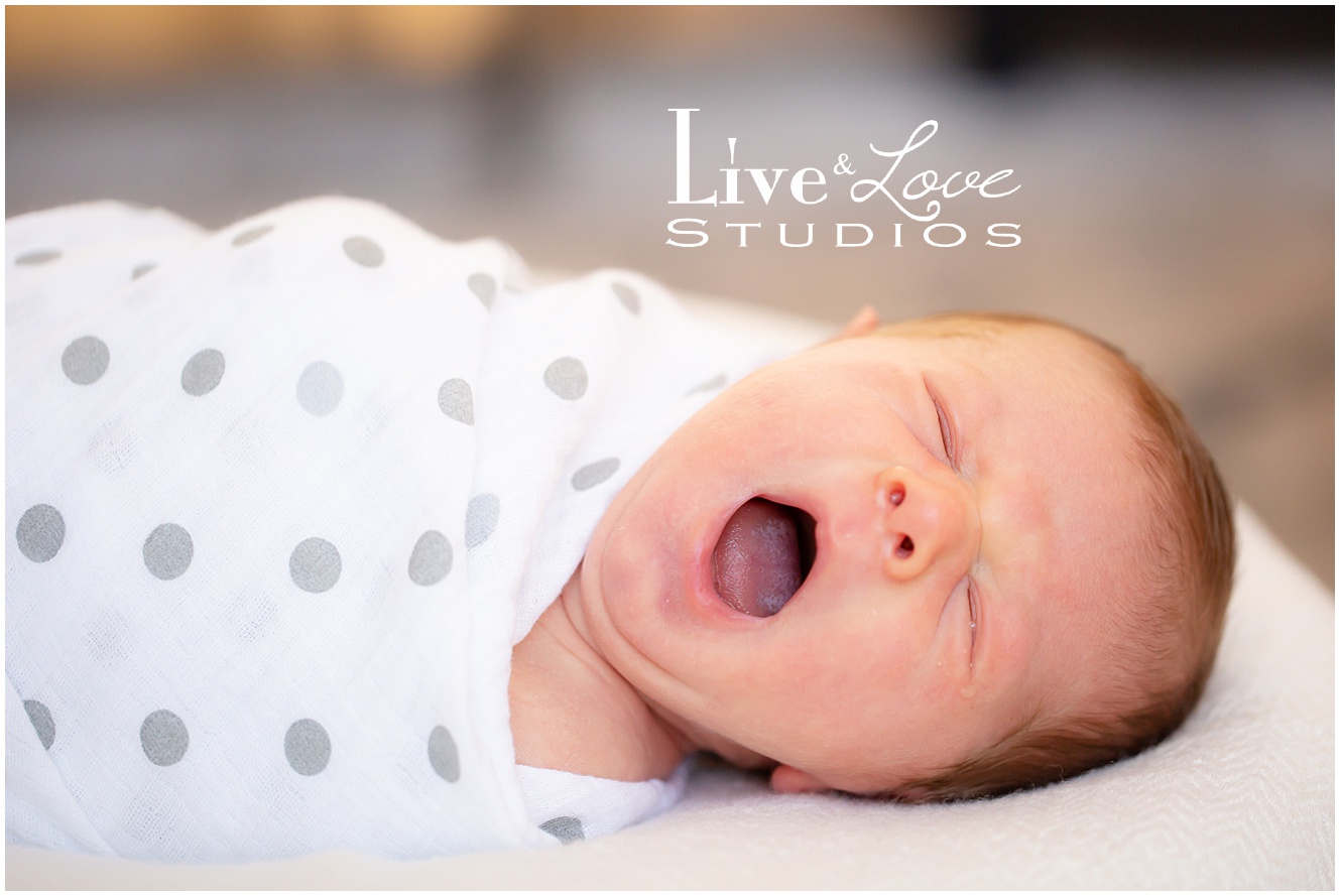 eagan-mn-family-newborn-lifestyle-photographer_0955.jpg