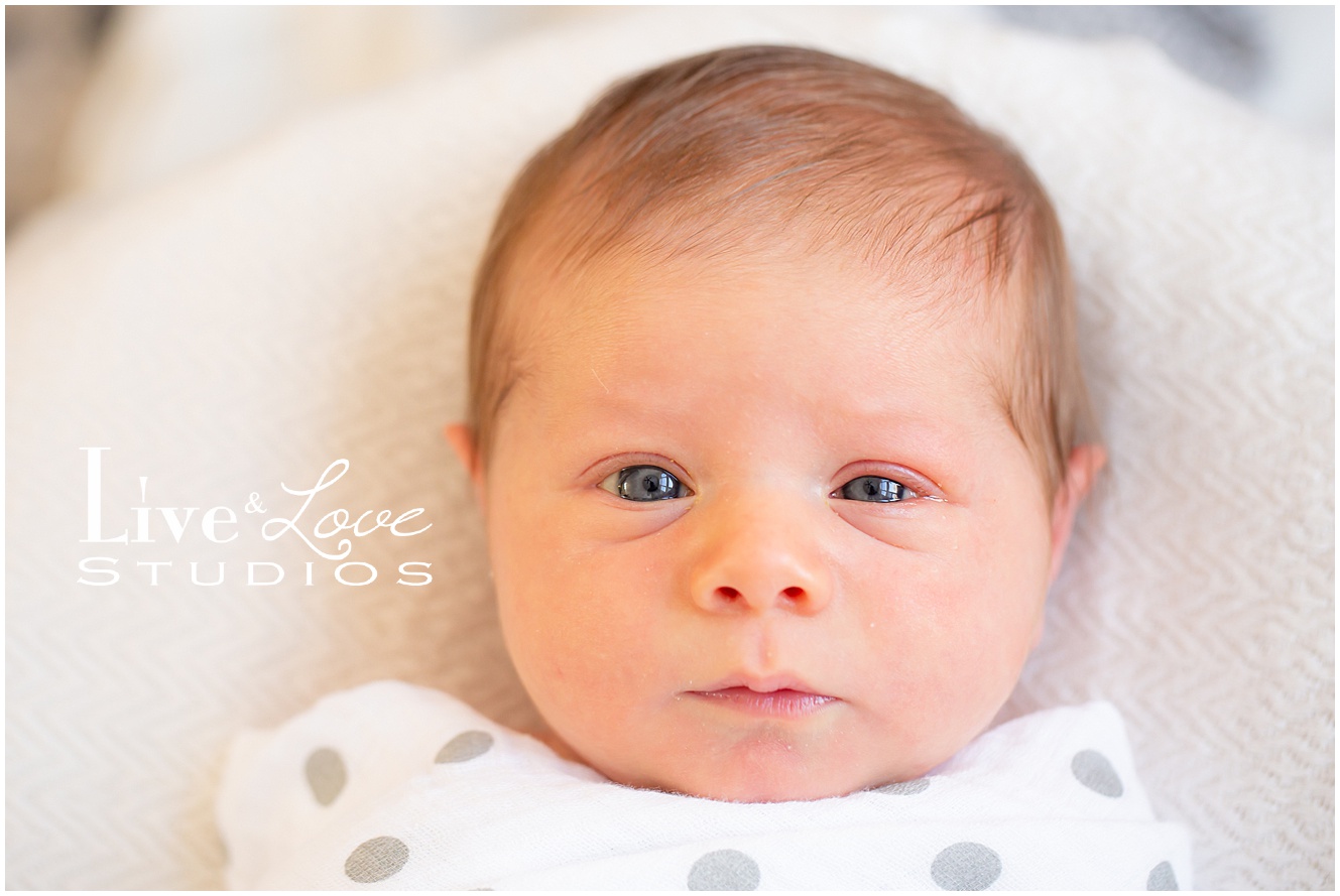 eagan-mn-family-newborn-lifestyle-photographer_0957.jpg