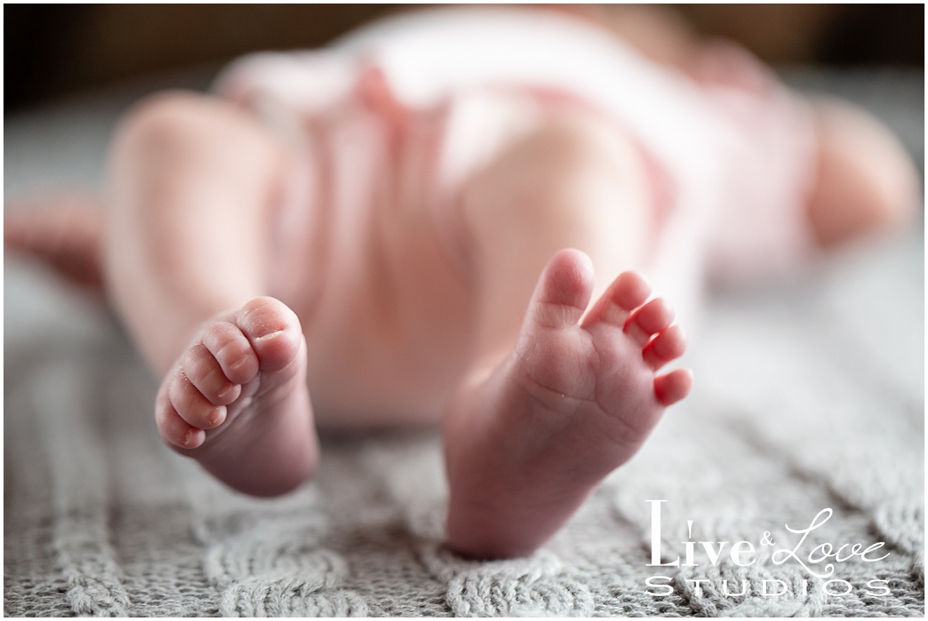 eagan-mn-family-newborn-lifestyle-photographer_0965.jpg