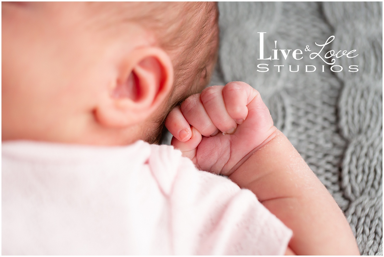 eagan-mn-family-newborn-lifestyle-photographer_0967.jpg