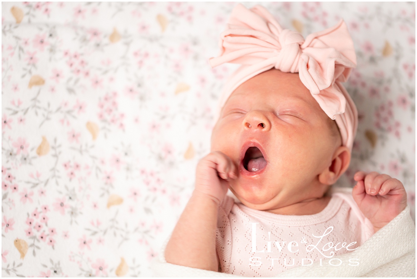 eagan-mn-family-newborn-lifestyle-photographer_0968.jpg