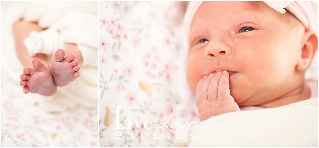 eagan-mn-family-newborn-lifestyle-photographer_0969.jpg