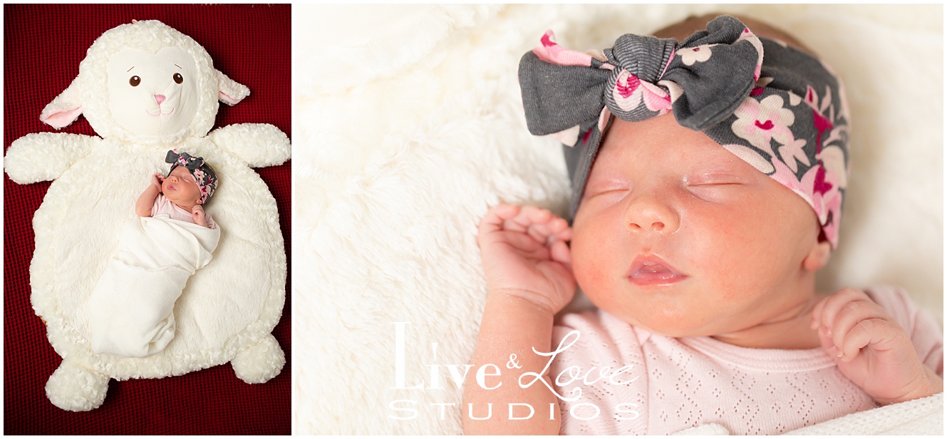 eagan-mn-family-newborn-lifestyle-photographer_0970.jpg