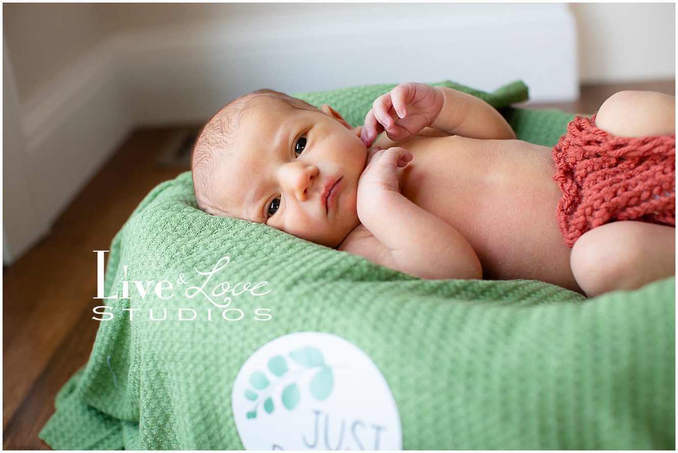 eagan-mn-family-newborn-photographer_0934.jpg