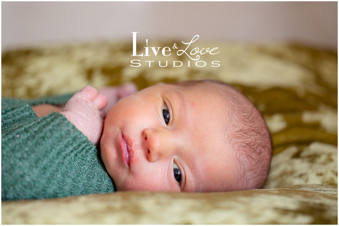 eagan-mn-family-newborn-photographer_0938.jpg